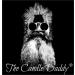 The Candle Daddy Basic Starter Pack - 5 Amazing Basic Drink Wax Melts - 30 Total Cubes - 10 Total Ounces - Buy Online on GoSupps.com