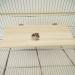 Billioteam Bird Wood Platform with Stainless Steel Washers - Ideal for Budgie, Parakeet, Parrots, Cockatiel, Hamster, Gerbil, Chinchillas | 4 Sizes Available - Buy Online on GoSupps.com