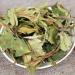 500g authentique th blanc en vrac aromatique Yunnan grande feuille th blanc saveur de miel - Buy Online on GoSupps.com