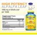 Natures Life Alfalfa Leaf Tablets 1000mg - Vitamin Rich Green Superfood | Non-GMO - 250 Count (Pack of 1) - Buy Online on GoSupps.com