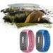 Ultrasound Mosquito Protection Bracelet - Waterproof & Reusable Anti-Mosquito Band for Adults & Kids | Blue - Buy Online on GoSupps.com