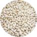 Organic Italian Cannellini Beans 500g - 1.1lb | Premium Quality, Pack of 1 - Buy Online on GoSupps.com