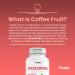 Vitapia Vitacoffee Caffeine Pills Coffee Fruit Vitamin C Vitamin D Zinc Gluconate Energy Memory Focus Skin Support 60 Capsules - Buy Online on GoSupps.com