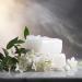 Scented Candles for Men | Wood & Vanilla Soy Candles | White Crystal Holiday Gifts | Perfect for Home Office & Hotels - Buy Online on GoSupps.com