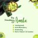 Dabur Amla Hair Oil - 100ml | Ayurvedic Formula for Healthy Long Hair with Indian Gooseberry Extract - Buy Online on GoSupps.com