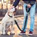 65-100cm Adjustable Dog Seat Belt for Cars UK Black Elastic and Crushioning Dog Car Harness with Headrest Safety Clip Durable and Heavy Duty - Buy Online on GoSupps.com