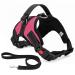 Musonic No Pull Dog Harness Breathable Adjustable Comfort Free Lead Included for Small Medium Large Dog Best for Training Walking S Pink S (Pack of 1) Pink