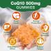 CoQ10 500MG Gummies - Plus Omega-3 Vitamin B3 Zinc Magnesium - High Absorption Coenzyme Q10 Supplements for Heart Health Cellular Energy & Antioxidant Support Peach Flavor (60 Count(Pack of 1)) 60 Count (Pack of 1) - Buy Online on GoSupps.com