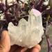 Natural Crystal Rough Beautiful White Flame Aura Quartz Crystal Cluster Specimen - Buy Online on GoSupps.com