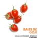 Wella Professionals Invigo Nutri Enrich : Shampoing Nourrissant l'Acide Ol ique et aux Baies de Goji+ Masque Nourrissant Anti-Frisottis Restaure les Cheveux Secs et Ab m s 300 ml + 150 ml - Buy Online on GoSupps.com