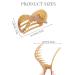 Shop Kavya Big French Hair Clips - 6 Slip-Resistant Elegant Hair Clips for Women & Girls - Glossy Shine Perfect for Thin Hair - Buy Online on GoSupps.com