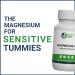 Healthy Gut Magnesium-HP | Ultra Pure Glycinate | 360mg Bisglycinate | 30 Servings - Buy Online on GoSupps.com