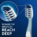 Oral-B CrossAction All In One Toothbrushes Medium - 2 Count - Buy Online on GoSupps.com