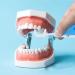 Artibetter Dental Floss Holder Replacement | Portable Plastic Organizer for Oral Care & Tooth Cleaning - Buy Online on GoSupps.com
