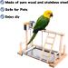 Parrots Playground Gym with Ladder Swings & Feeding Cups - For Parakeets, African Grey, Conures, Cockatiels - Cage Accessories & Toys - Buy Online on GoSupps.com
