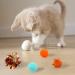 PietyPet 60 Pack Cat Toy Set: Spiral Springs, Sparkle Balls, Crinkle Balls, Mouse Toy, Springs, Pom Pom Balls - Buy Online on GoSupps.com