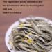 LWXLJMJZC Osmanthus Silver Needle White Tea-White Tea-Loose Leaf Tea-Osmanthus Blend White Tea 50g/1.76oz - Buy Online on GoSupps.com