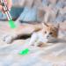 TEAYTIS Cat Pointer Toy with Purple Light Flashlight for Interactive Training and Play | Indoor Cats and Dogs Chaser Toy - Buy Online on GoSupps.com