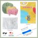 ZMAAGG Beginners Crochet Kit - Dinosaur Crochet Animal Kit | Knitting Kit with Yarn & Hooks | Step-by-Step Video Instructions | DIY Craft Art Starter Kit - Buy Online on GoSupps.com