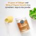 Garden of Life Collagen Bundle: Grass Fed Peptides Unflavored 14 Servings + Collagen Turmeric Apple Cinnamon 20 Servings + Multi-Sourced Collagen Unflavored Powder 12 Scoops Hair Skin Nails Joints - Buy Online on GoSupps.com
