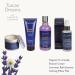 Di Palomo Tuscan Dreams Body Butter 200ml - Luxurious Shea Butter Moisturizer for Women - Nourishing Body Lotion & Cream - Buy Online on GoSupps.com