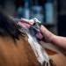 LeMieux Hippo Scrubber Horse Grooming Brush in Black with Sponge Flexible Bristles & Adjustable Straps - One Size - Buy Online on GoSupps.com
