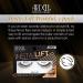 Buy Ardell Insta-Lift Wishful Lashes - Premium Quality False Eyelashes for Stunning Looks | International Shipping Available - Buy Online on GoSupps.com