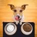 Moacc Slipproof Waterproof Feed Mats for Dogs & Cats - Silicone Food Base Pad 54x38cm Black - Buy Online on GoSupps.com