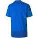 PUMA Unisex Kinder teamGOAL 23 Training Jersey Jr T-shirt - Electric Blue Lemonade & Power Blue | Best for Kids | International Shipping Available - Buy Online on GoSupps.com