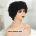 Plecare Afro Wigs: 100% Human Hair, Glueless Short Kinky Curly Wigs - Perfect for Cosplay or Daily Wear (Natural Black) - Buy Online on GoSupps.com