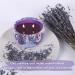 Benooa Candle Making Kit - DIY Scented Candle Supplies with Electric Hot Plate, Beeswax, Wicks, Fragrance Oil, Dye, and Jars - Buy Online on GoSupps.com