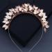 Lurrose Greek Goddess Headband Bridal Leaf Tiara Headband Leaf Vine Hair Hoop Vinatge Branch Hairband for Greek Costume Wedding Bridal Headpieces Rose Gold 18.5x12.5cm Rose Gold - Buy Online on GoSupps.com