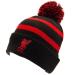 Liverpool FC Knitted Ski Hat - Authentic EPL Brand One Size Black