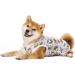 Cool Summer T-Shirt for Medium & Large Dogs | Breathable Sun Protection Dog Vest with White Dinosaurs - Buy Online on GoSupps.com