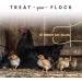 Manna Pro Chick Supplies Treat | Chick Brooder Stick | Chicken Coop Accessories | Starter Kit - 15 oz - Buy Online on GoSupps.com