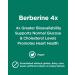 Platinum Naturals - Berberine 4x 120 Vegan Liquid Capsules - Berberine Glucose Support Supplement - Supports Heart Health Normal Cholesterol Levels and Cardiovascular Health - Made with Omega Absorb 120 count (Pack of 1) - Buy Online on GoSupps.com