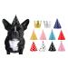 CBM Dog Party Hat Set - Dog Birthday Party - Hats and Crowns Party Time - 11pcs