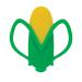 Nuby Veggie Teether for Teething Relief - BPA-Free Baby Teething Toy - 3+ Months - Corn Shape - Buy Online on GoSupps.com