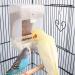 PINVNBY No-Mess Bird Feeder for Parrots - Seed Food Container with Perch - Ideal for Budgerigar, Canary, Cockatiel, Finch, Parakeet, and More - Buy Online on GoSupps.com