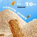 Nuts/Fruit/Meat Floss Seaweed/Chocolate Mixed Flavour Cereal Bars -Pack of 16 Bars Crispy Oatmeal Cereal Bar Biscuit Fitness Snacks Protein Bar Meal Replacement Light Food High Protein -310g - Buy Online on GoSupps.com