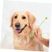 CIYODO 1 Set Pet Toothbrush Dog Mouth Cleaning Tool Dog Chew Toothbrush Dog Toothbrush and Toothpaste Pp - Buy Online on GoSupps.com