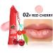 Fruity Flavored Lip Balm Nourishing Moisturizing Anti-Chapping Lip Balm - Nourishing Lip Balm - For Women Men Girls Friends Family Sister and Girlfriend - Buy Online on GoSupps.com