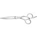 Jaguar Gold Line Heron Hairdressing Scissors 6-Inch Length 0.1 kg - Buy Online on GoSupps.com