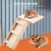 Small Animal Toys: Wooden Schwenkleiter Ladder & Swing Set for Hamsters Parrots & Small Pets - Buy Online on GoSupps.com