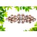 Barrettes for Women Flowers Rhinestones Crystal Hair Clips Metal Snap Hair Clips Thin Thick Hair Holder Hair Clips for Women Girls Hair Styling Accessories ( 1 pack) (Champagne)