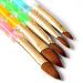 5 Pcs Round Sable Acrylic Design Nail Art UV Gel DIY Brush Pen Nail Art Tool Set No. 2/4/6/8/10