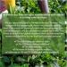 Palais des Th s SENCHA ARIAKE Th vert du Japon Notes Iod es et V g tales Boite M tal 100g - Buy Online on GoSupps.com