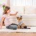 Buy Idepet Winter Dog Sweater - Warm & Cozy Pullover for Small/Medium Pets | XXL Yellow Pet Clothing - Buy Online on GoSupps.com