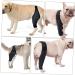 CORHAD Dog Leg Braces for Hindleg Comfortable Dog Knee Dog Back Leg Protector Puppy Pet Mesh Fabric Care M As Shown - Buy Online on GoSupps.com