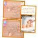 GLEAVI 2pcs Refrigerator Eggs Fridge Egg Holes Trays Egg Display Racks Egg Carton Egg Plate Lattice - Buy Online on GoSupps.com